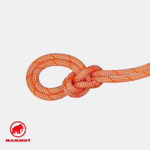 9.8MM CRAG CLASSIC ROPE 60M CORDE